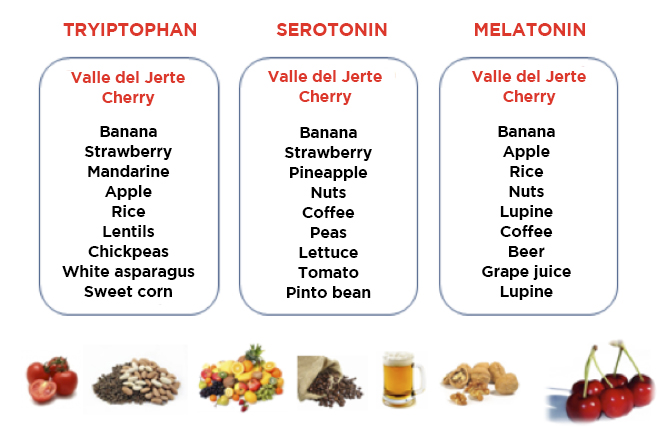 Alimentos Melatonina