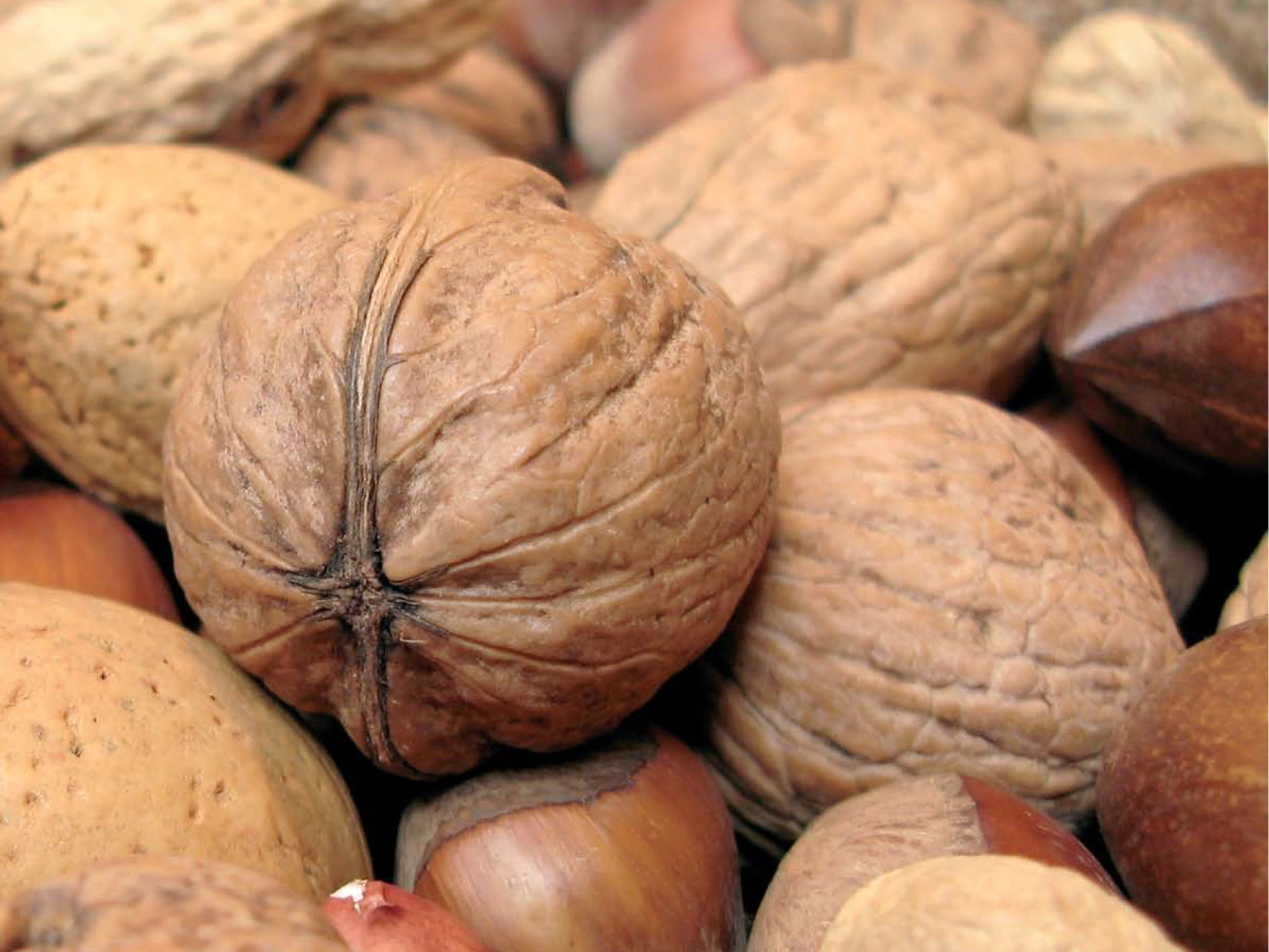 Frutos Secos: Frutos De Energía