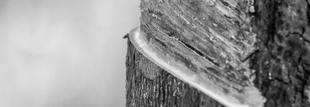 Látex Natural