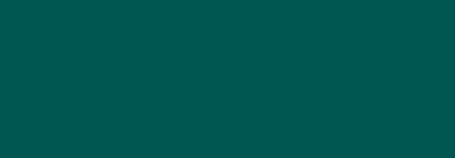 Confort - Carbon Memory Foam